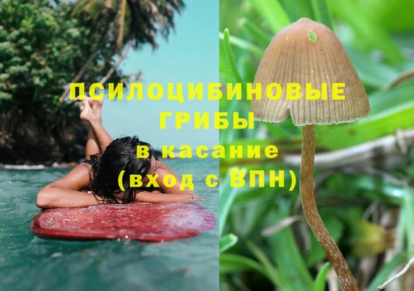 крисы Абдулино