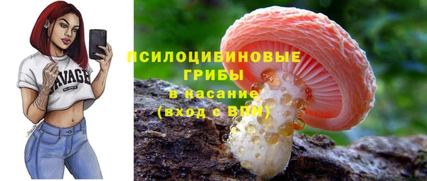 эйфоретик Алзамай