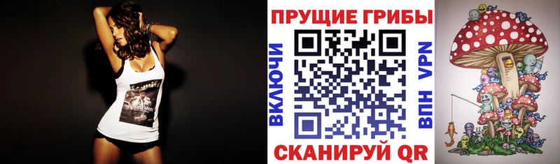 как найти закладки  Зуевка  Галлюциногенные грибы GOLDEN TEACHER 